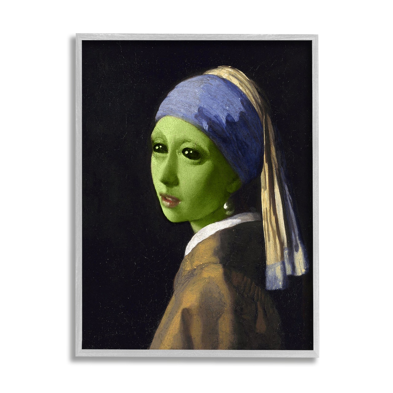 Stupell Industries Girl with Pearl Earring Alien Framed Giclee Art